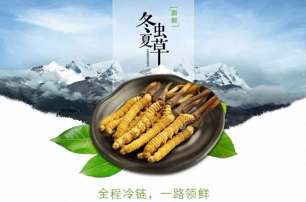 卖点,产品,创意,策划