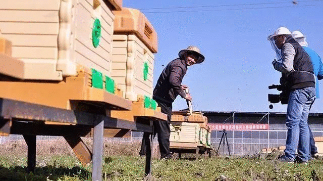 卖点,产品,创意,策划