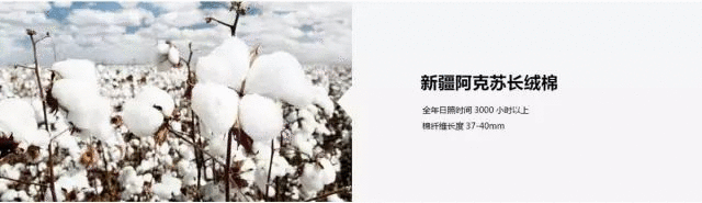 卖点,产品,创意,策划