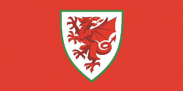 足球协会（FAW）,品牌,logo,设计,创意